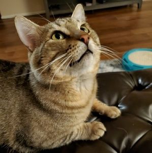 Meet your Posher, Elva